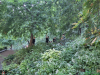IMG-20250816-155803