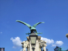 IMG-20250816-161424